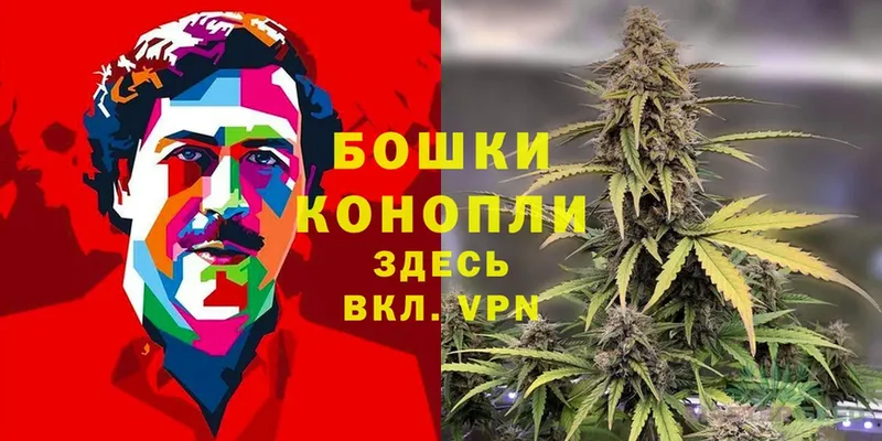 даркнет сайт  MEGA ссылки  Шишки марихуана OG Kush  Богородицк 